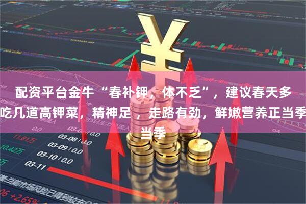 配资平台金牛 “春补钾，体不乏”，建议春天多吃几道高钾菜，精神足 ，走路有劲，鲜嫩营养正当季