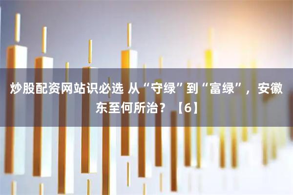 炒股配资网站识必选 从“守绿”到“富绿”，安徽东至何所治？【6】